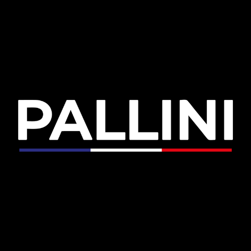 Pallinisport